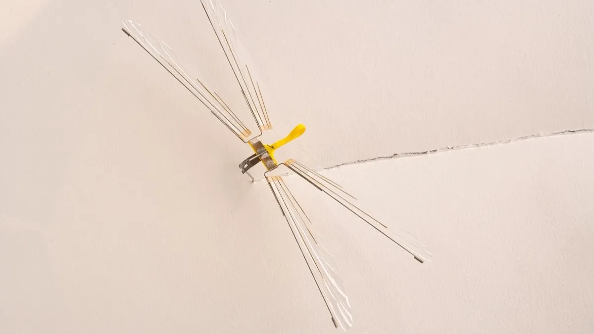 Insectotóptero de la CIA, un pequeño dron con forma de libélula, fotografiado sobre una superficie clara