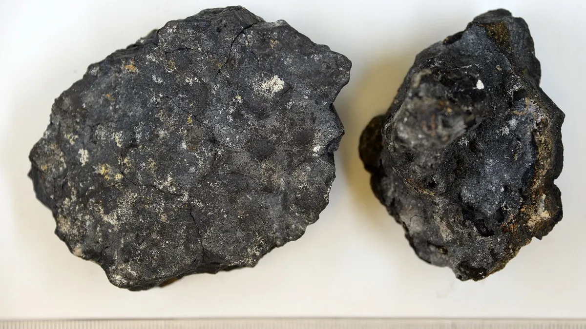Nódulo polimetálico de manganeso, de superficie oscura y abultada, extraído del fondo oceánico