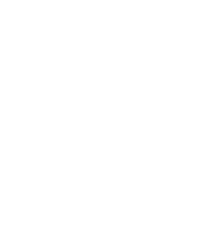 Kingbink